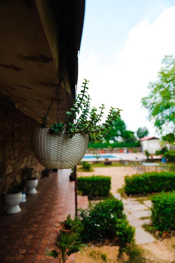 The Rustic Villa, A Stay With Luxuries Amenities And Exotic Nature Jaipur Bagian luar foto